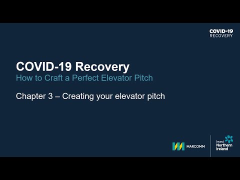 Preview image for the video "COVID-19 Recovery Practical Export Skills: How to Craft a Perfect Elevator Pitch (3)".