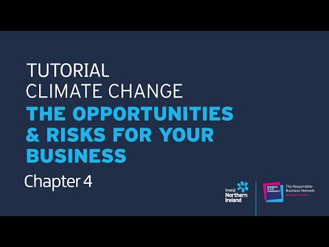 Preview image for the video "Chapter 4 | Support for Your Business - Bernadette Convery, Energy &amp; Resource Efficiency, Invest NI".