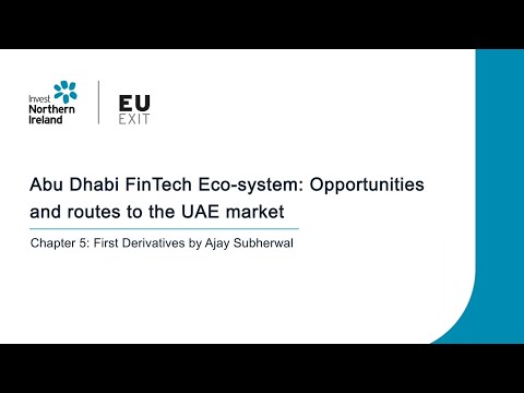 Preview image for the video "Abu Dhabi FinTech Eco-system webinar - Chapter 5".
