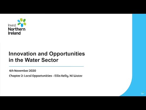 Preview image for the video "Innovation and Opportunities in the Water Sector - Chapter 2 - Local Opportunities".