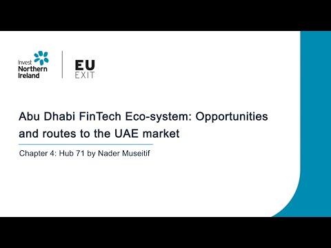 Preview image for the video "Abu Dhabi FinTech Eco-system webinar - Chapter 4".