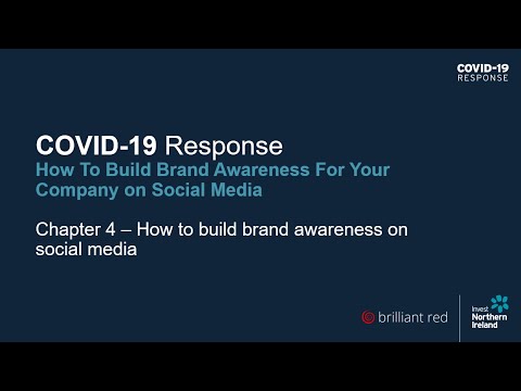 Preview image for the video "COVID-19 Response - How to build brand awareness for your company on social media (Chapter 4)".