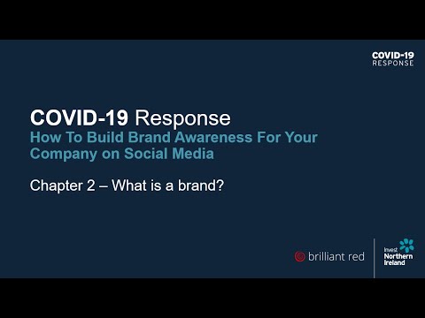 Preview image for the video "COVID-19 Response: How to build brand awareness for your company on social media (Chapter 2)".