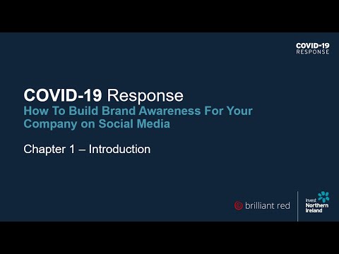 Preview image for the video "COVID-19 Response - How to build brand awareness for your company on social media (Chapter 1)".