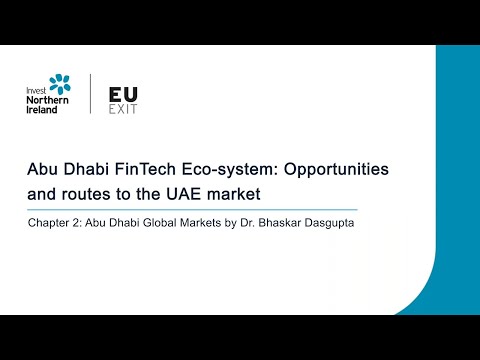 Preview image for the video "Abu Dhabi FinTech Eco-system webinar- Chapter 2".