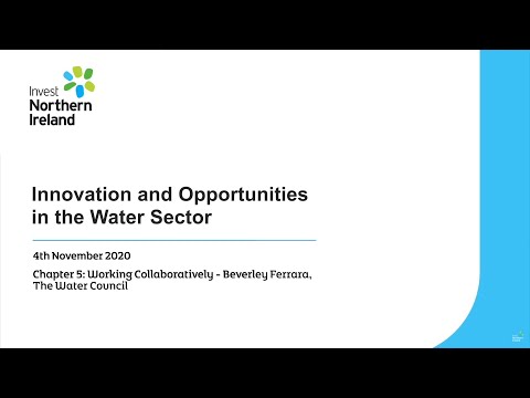 Preview image for the video "Innovation and Opportunities in the Water Sector - Chapter 5 - Working Collaboratively".