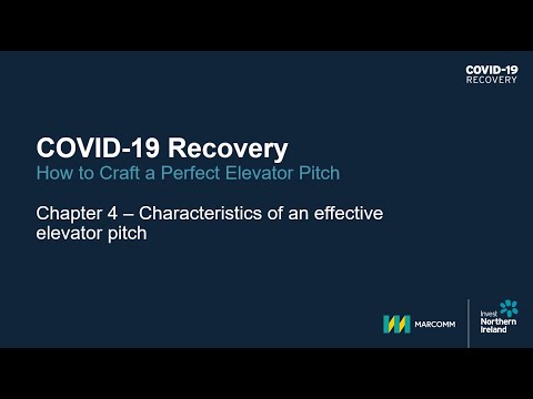 Preview image for the video "COVID-19 Recovery Practical Export Skills: How to Craft a Perfect Elevator Pitch (4)".